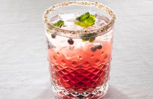 Photo Recette Cocktail « Gin »évrier Québécois