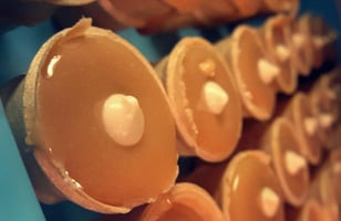 Photo Recette LES PETITS CORNETS D’ÉMILIE