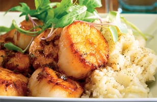 Photo Recette Pétoncles Sautés Sauce aux Échalotes et au Vin Blanc