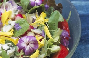 Photo Recette Salade de Fleurs