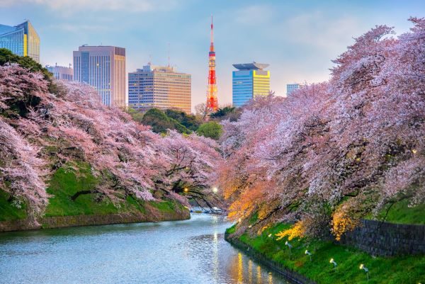 Concours Gagnez un séjour de 6 jours pour 2 personnes à Tokyo d'une valeur de 5 000$!