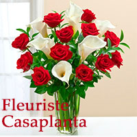 Logo Fleuriste Casaplanta