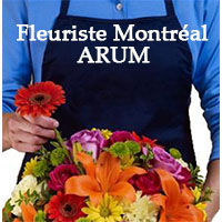 Logo Fleuriste Montréal ARUM